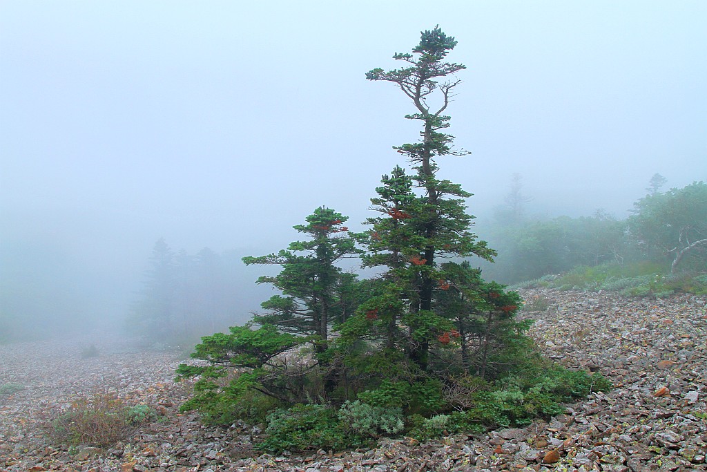 photo "***" tags: landscape, mountains