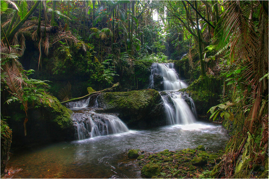 photo "In a jungle" tags: landscape, travel, water