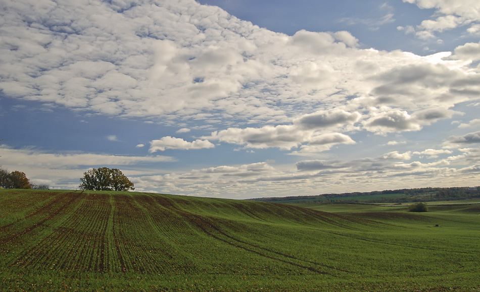 photo "***" tags: landscape, 