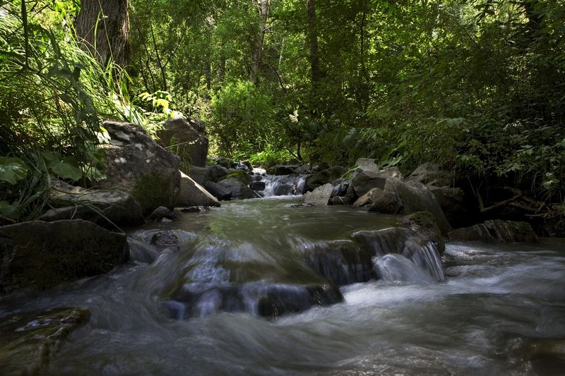 photo "***" tags: landscape, water