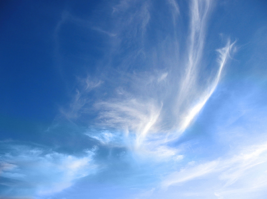 photo "white swans" tags: landscape, clouds