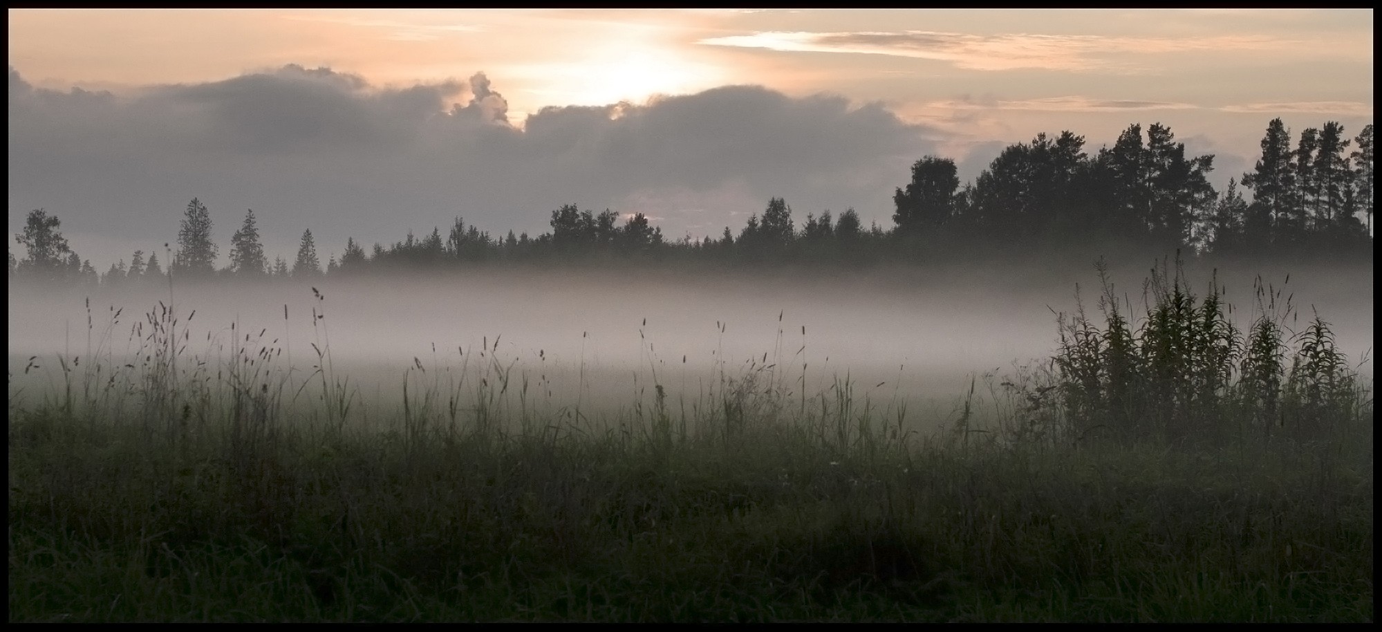 photo "Summer fog" tags: landscape, forest, sunset