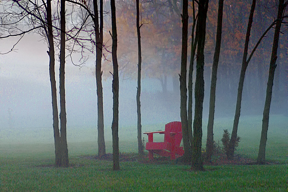 photo "I am, I said . . ." tags: nature, 