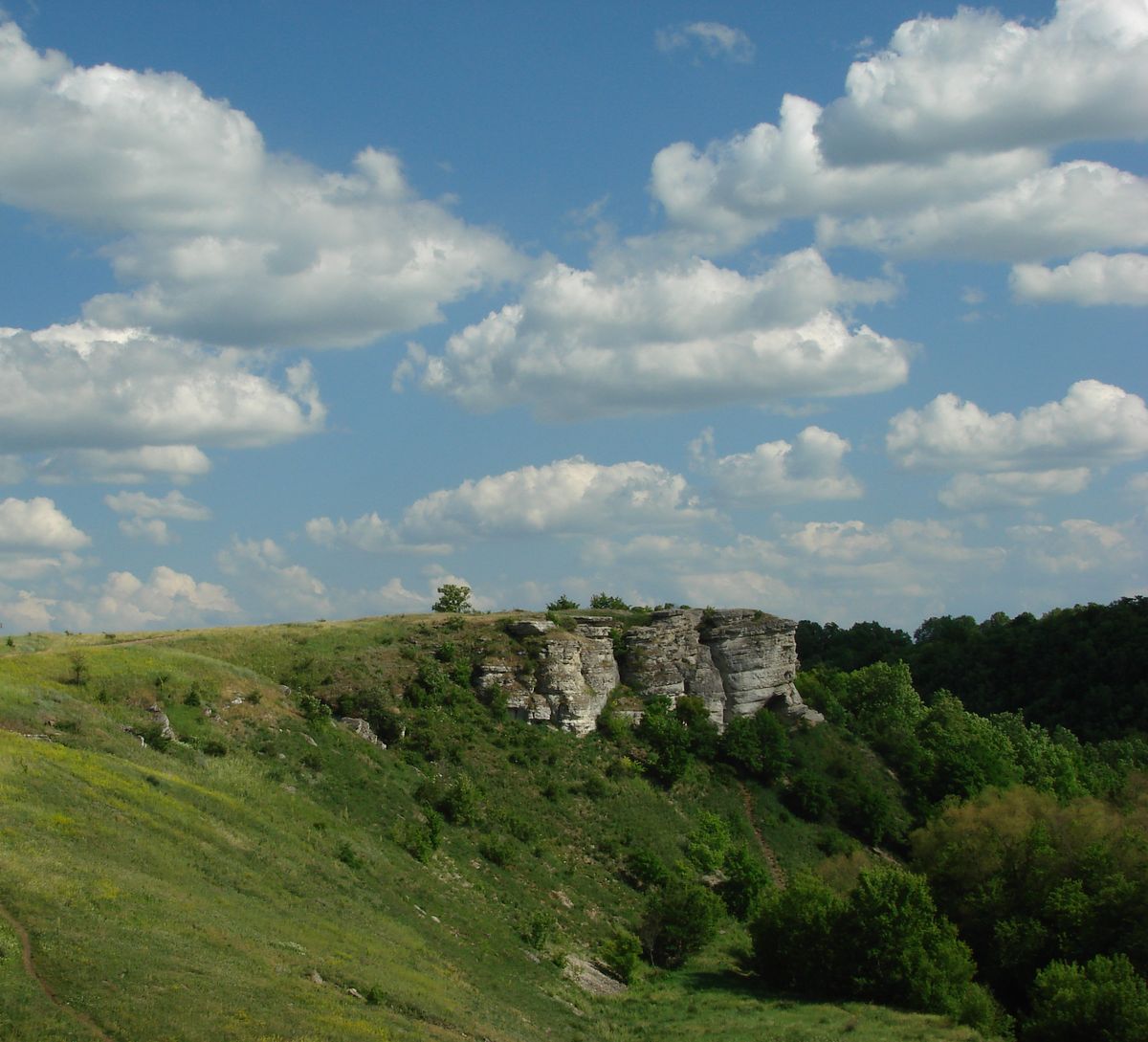 photo "***" tags: landscape, summer