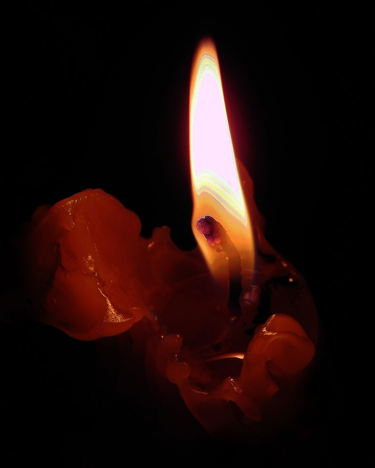 photo "***" tags: genre, misc., 