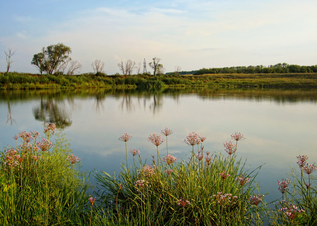 photo "***" tags: landscape, summer