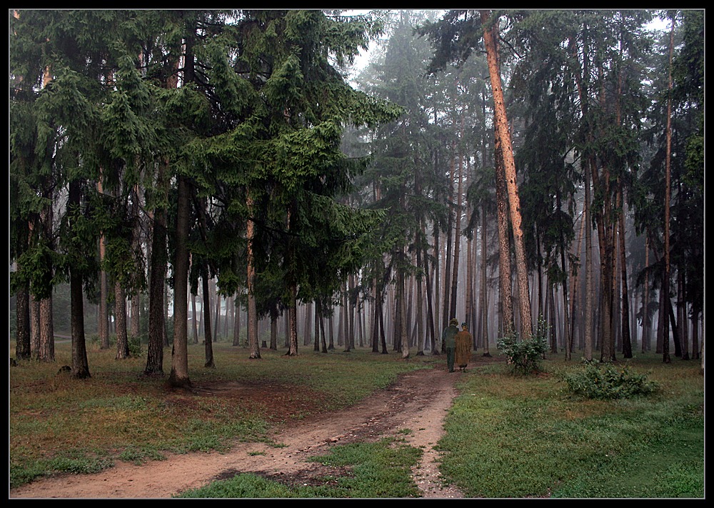 photo "***" tags: landscape, autumn, forest