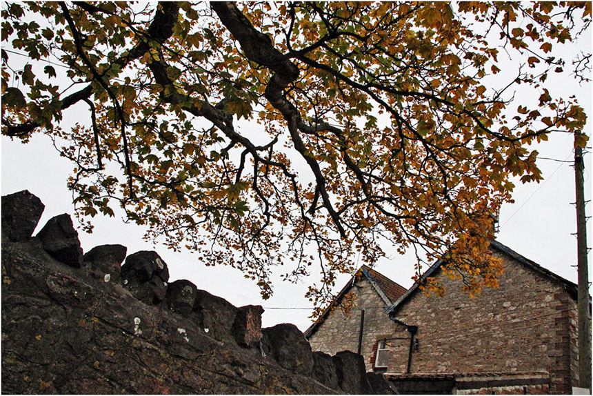 photo "***" tags: landscape, autumn