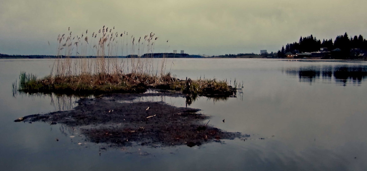 фото "***" метки: , 