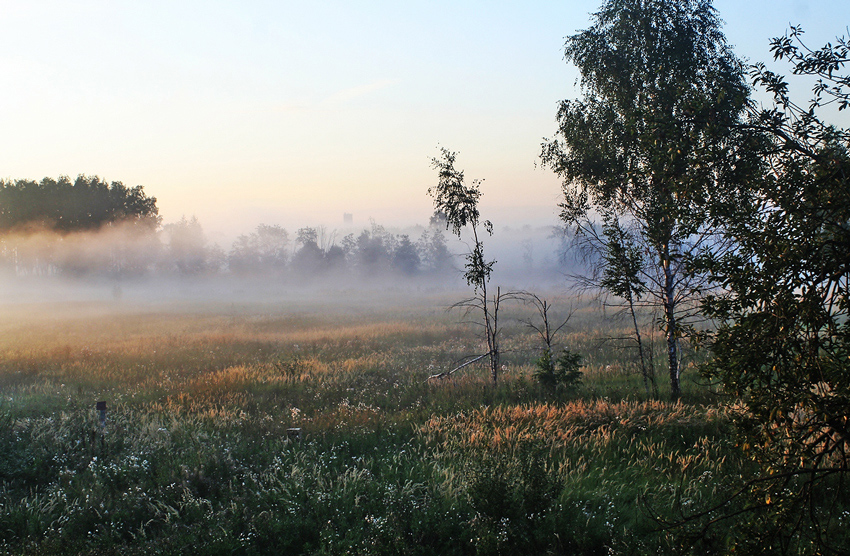 photo "***" tags: landscape, summer