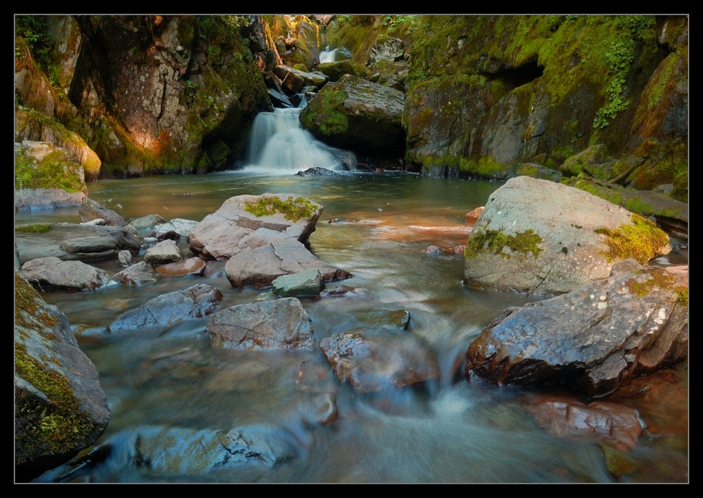 photo "Magic brook" tags: , 