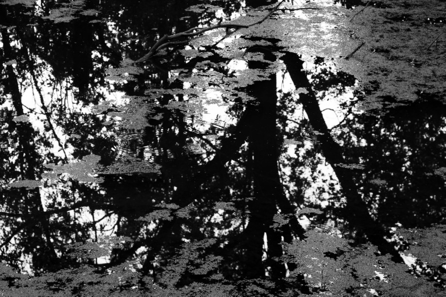 photo "***" tags: black&white, landscape, water