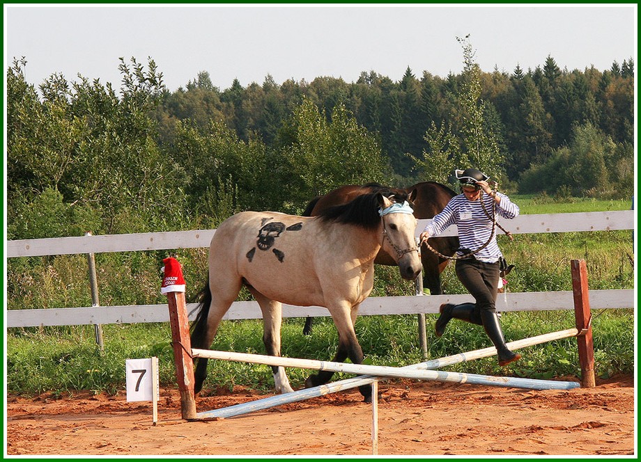 photo "Do as I do!!!" tags: genre, nature, pets/farm animals
