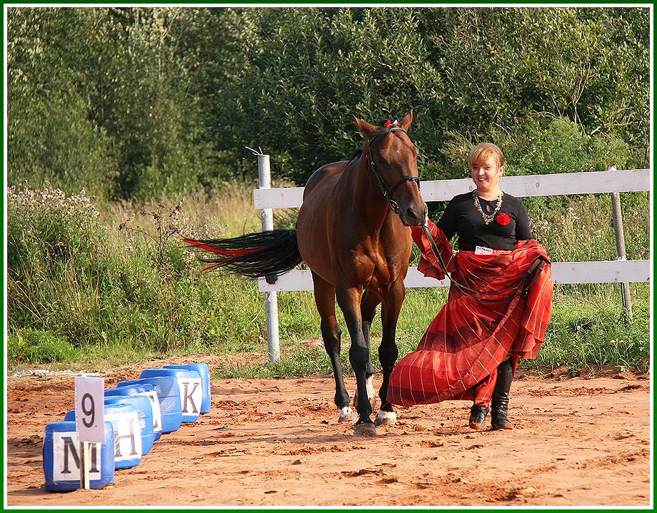 photo "Gypsies" tags: genre, nature, pets/farm animals