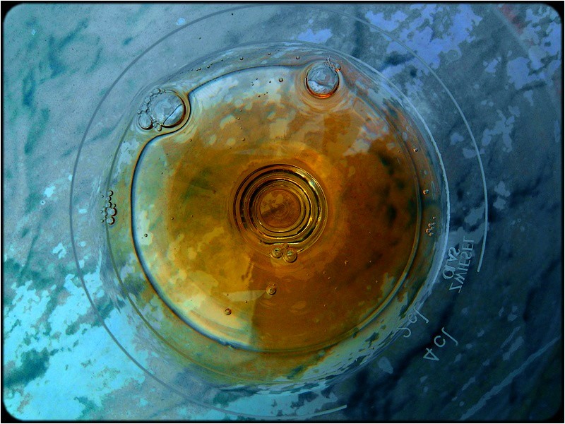 photo "cognac circle" tags: abstract, macro and close-up, 