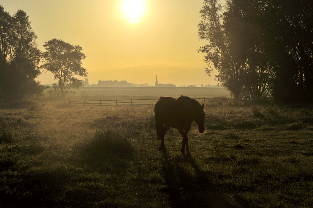 photo "***" tags: landscape, sunset