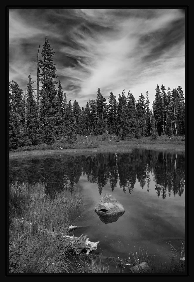 photo "***" tags: landscape, forest, water
