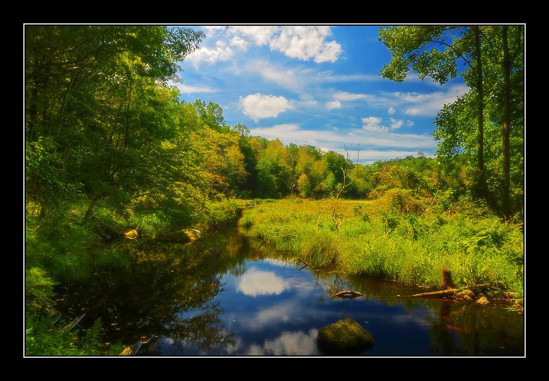 photo "Beaver country" tags: landscape, nature, Sterling Forest State Park, foliage, forest, water