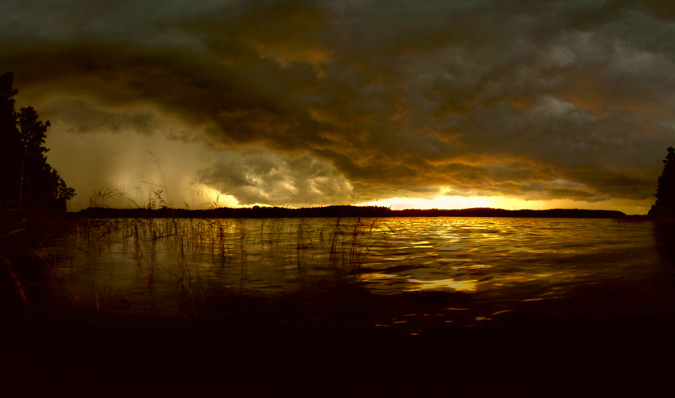 photo "Leaves" tags: panoramic, landscape, summer