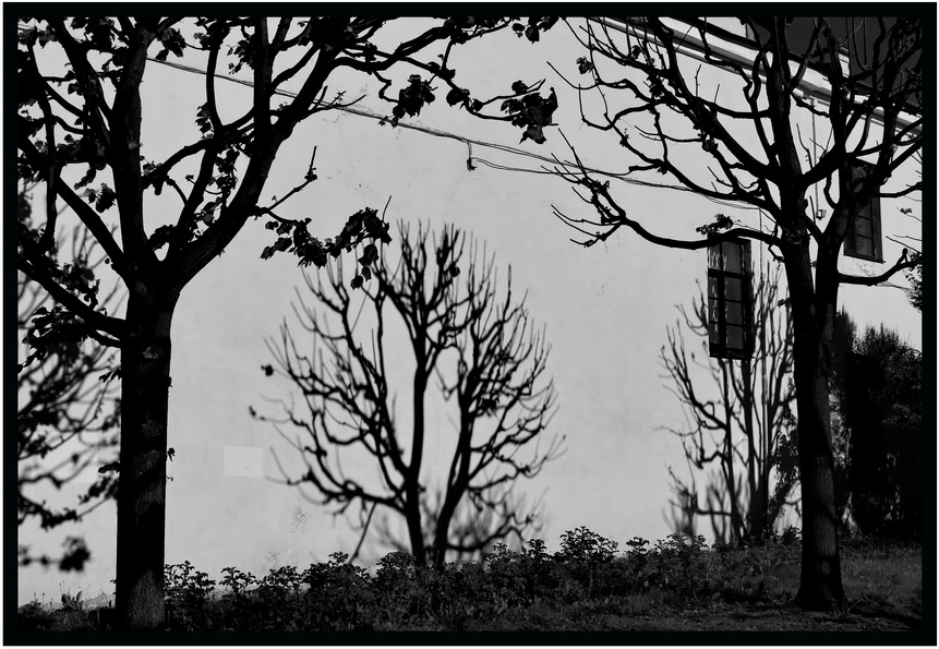 photo "***" tags: city, black&white, 