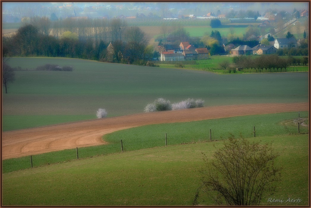 photo "green grass of home" tags: landscape, nature, flowers, spring