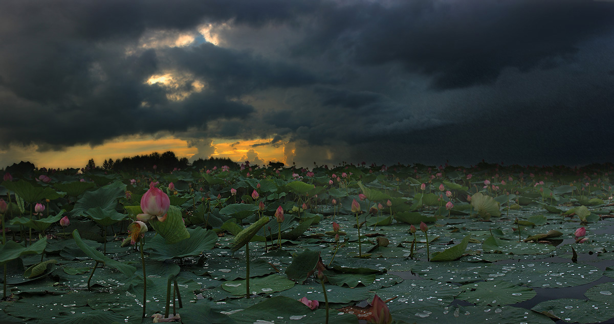 photo "***" tags: landscape, summer