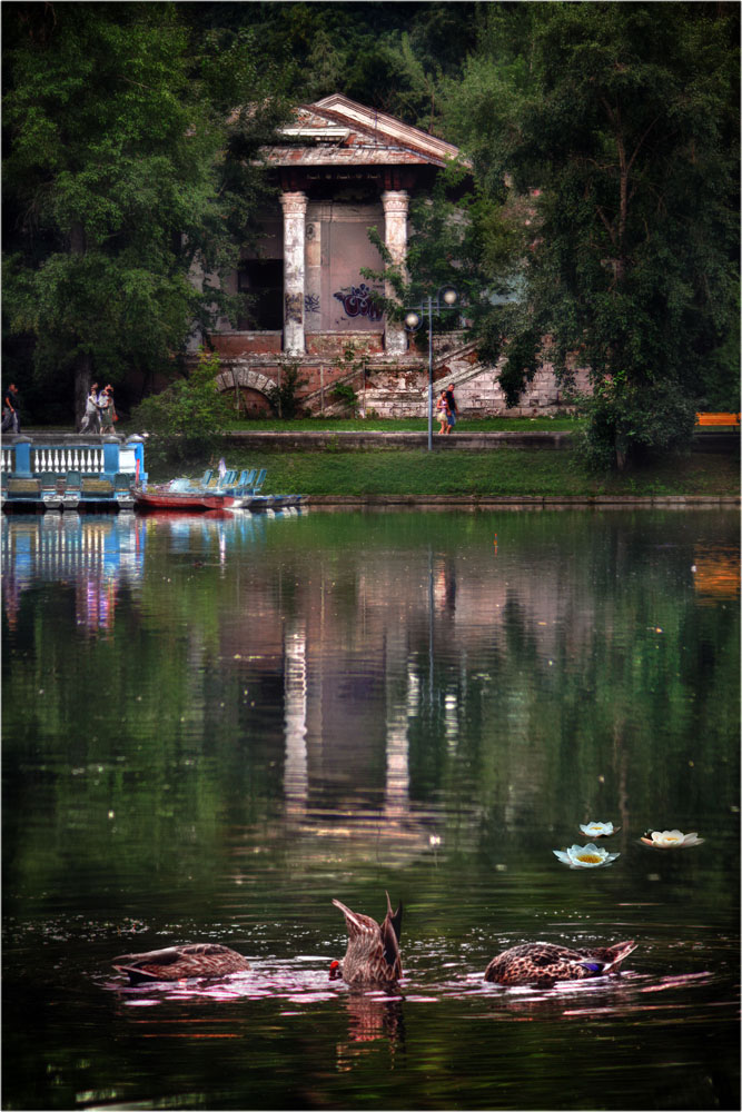 фото "Есть в графском парке черный пруд" метки: пейзаж, вода