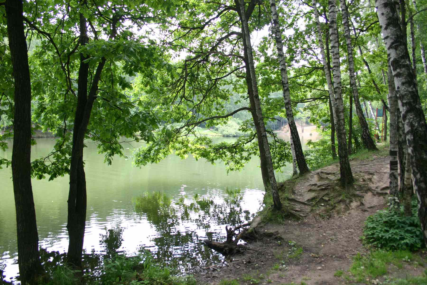 photo "***" tags: landscape, summer, water