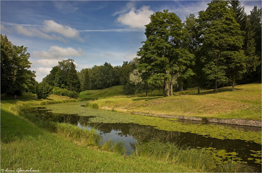 photo "***" tags: landscape, summer