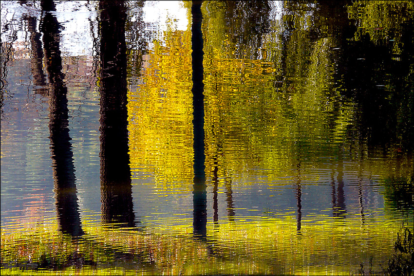 фото "Mirage autumn" метки: пейзаж, дерево, озеро, осень, отражения, парк
