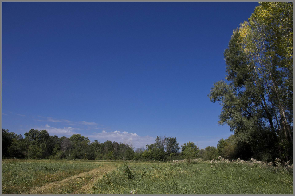 photo "***" tags: landscape, summer