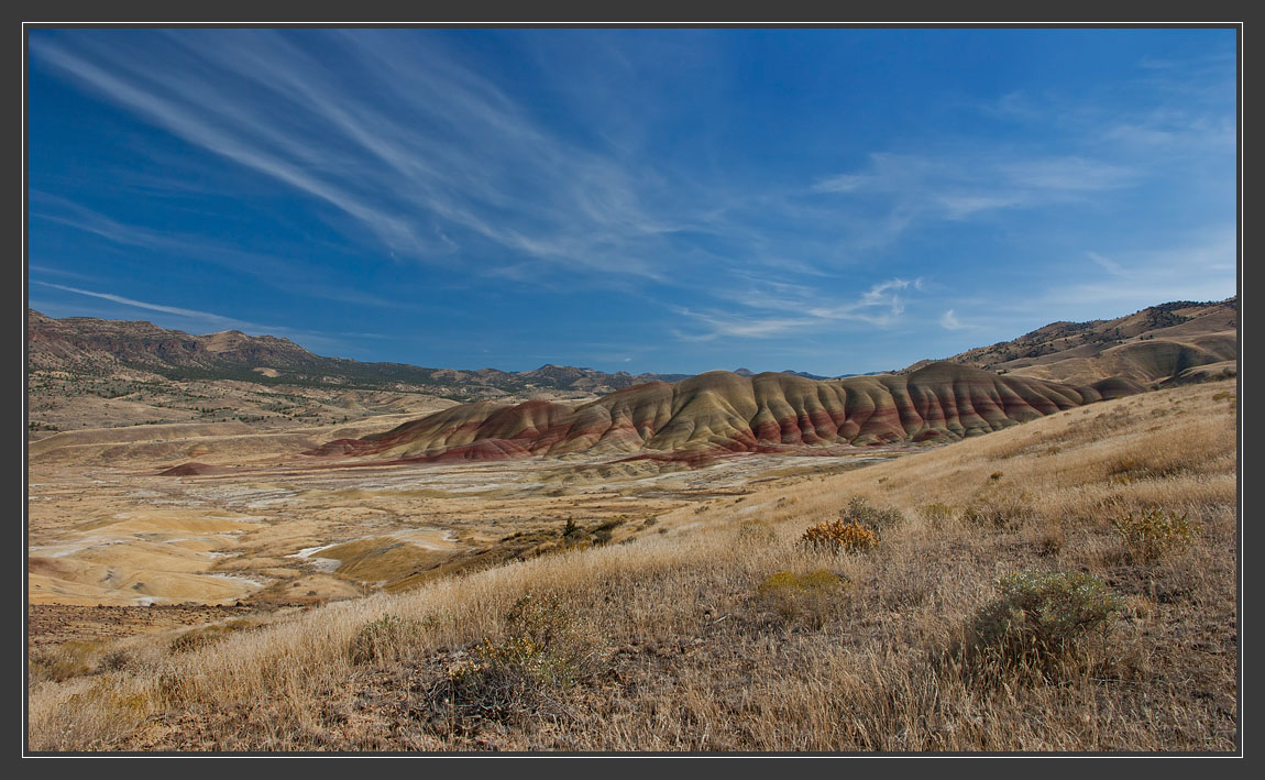 photo "Monster caterpillar" tags: landscape, travel, 