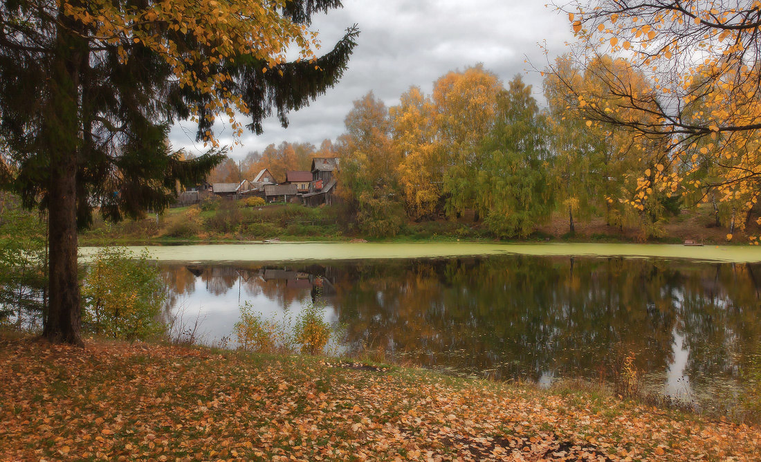 photo "***" tags: landscape, autumn