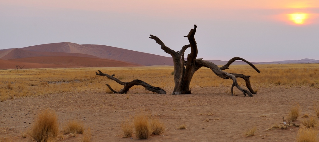 photo "***" tags: landscape, 
