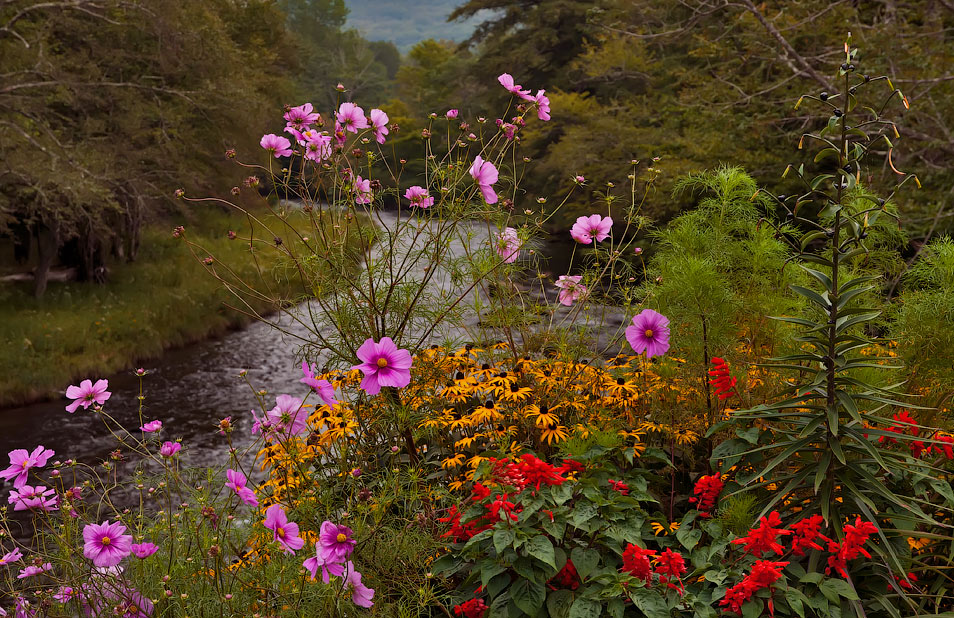 фото "Цветник в горах...." метки: природа, пейзаж, горы, цветы