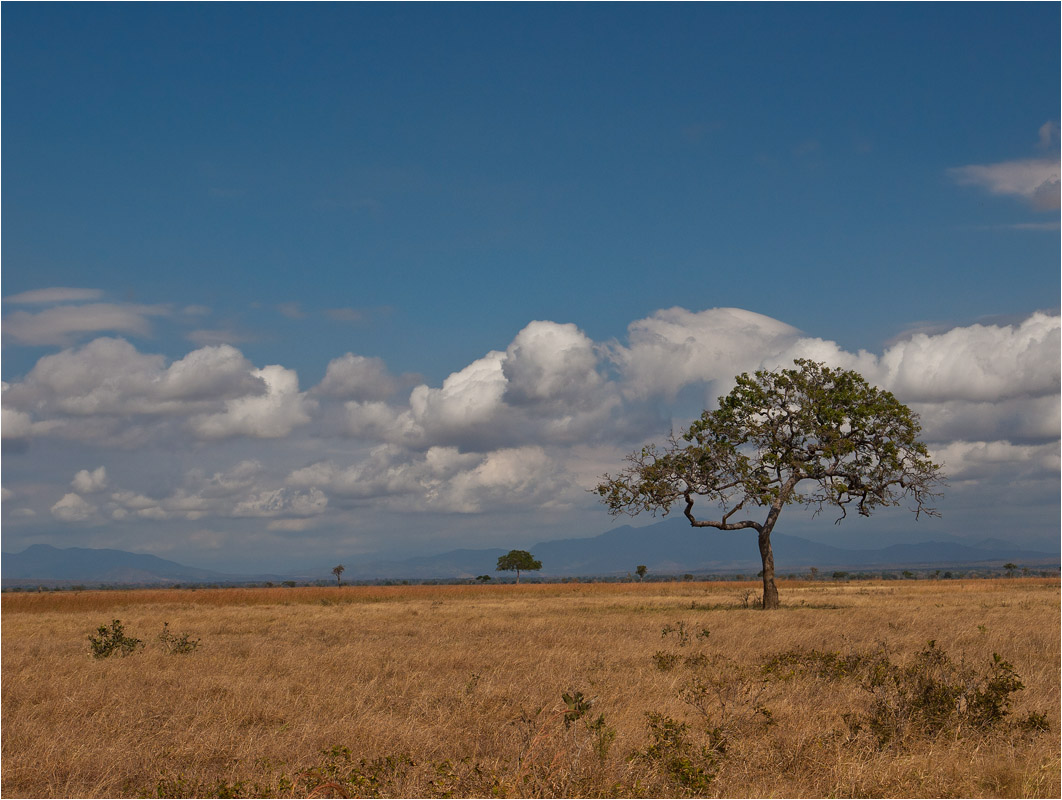 photo "***" tags: landscape, travel, 