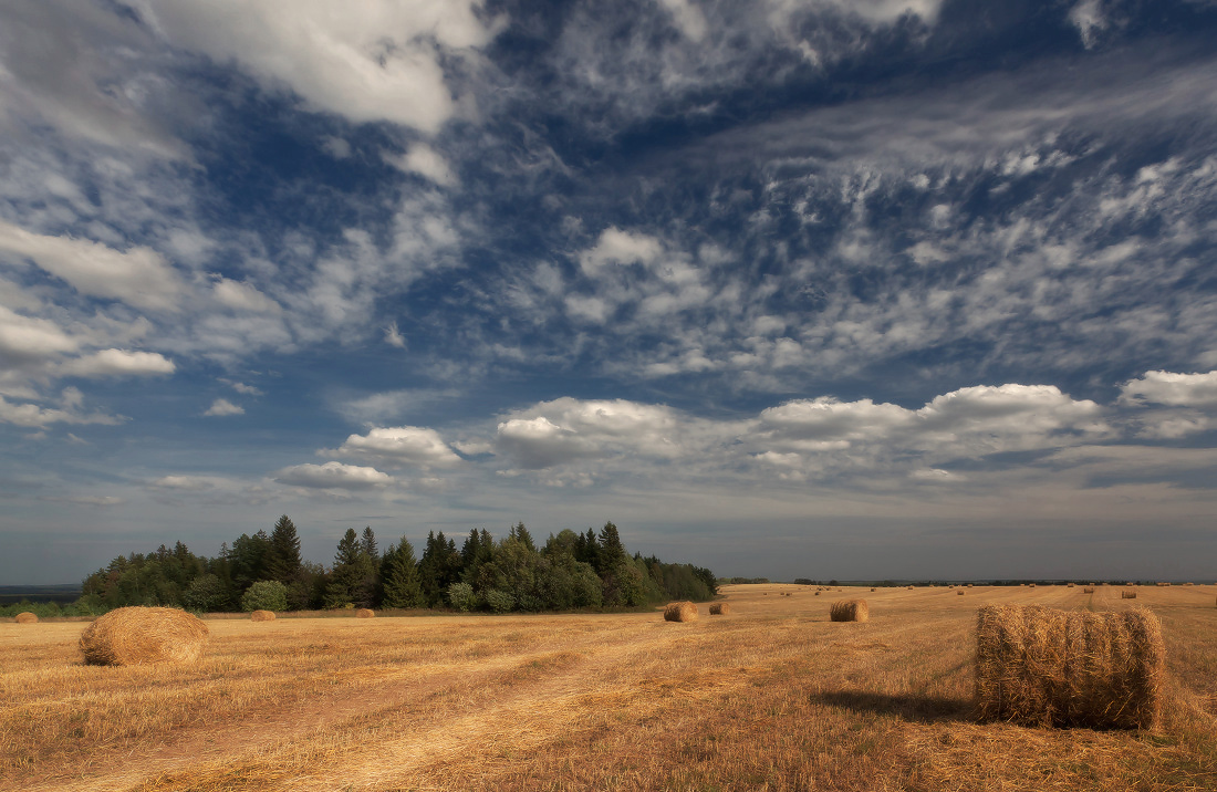 photo "***" tags: landscape, autumn