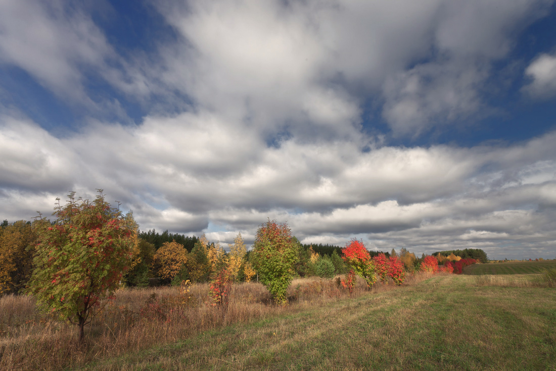 photo "***" tags: landscape, autumn