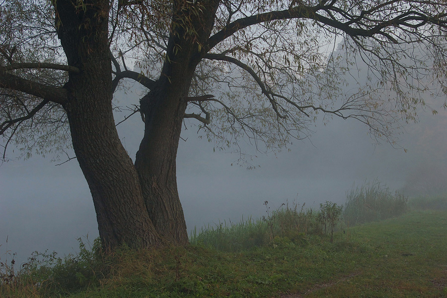 photo "***" tags: landscape, autumn