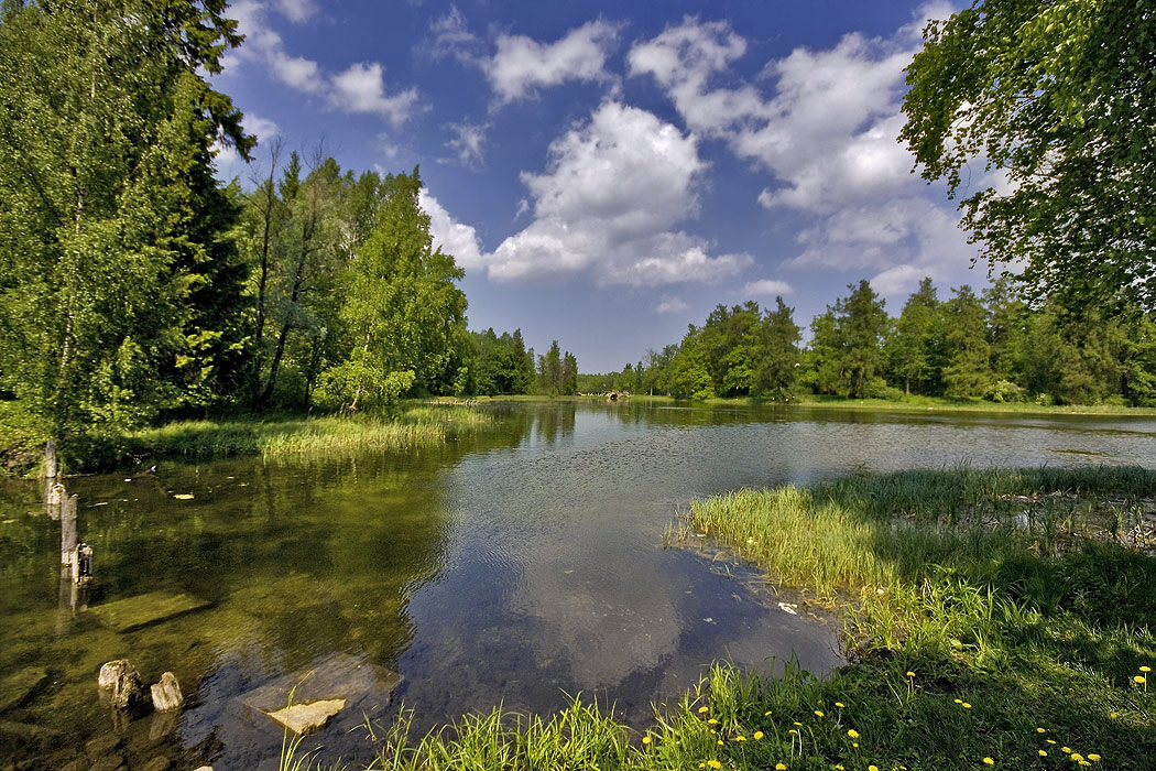 photo "***" tags: landscape, summer, water