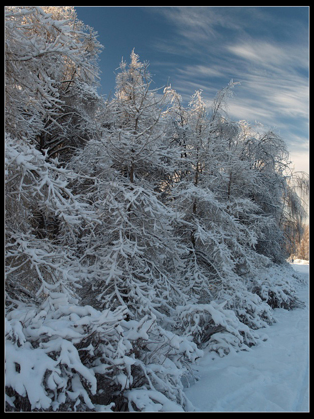 photo "Ice Forms" tags: landscape, forest, winter