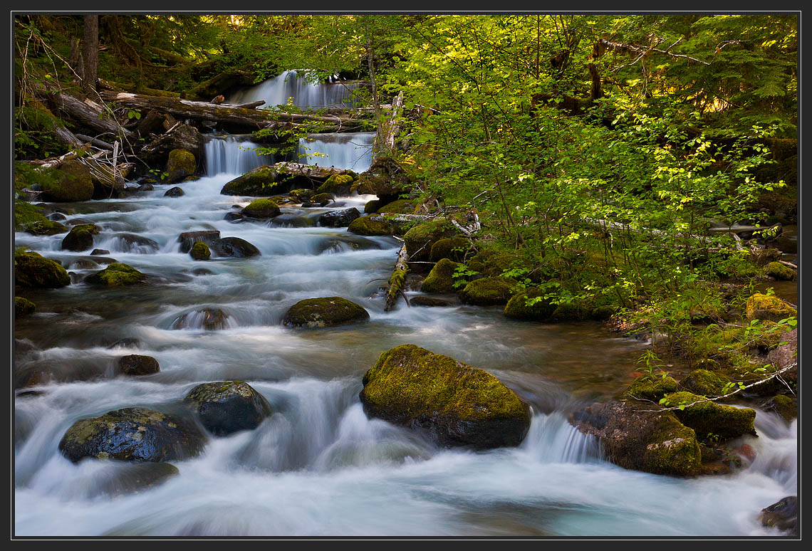 photo "Slalom" tags: landscape, forest, water
