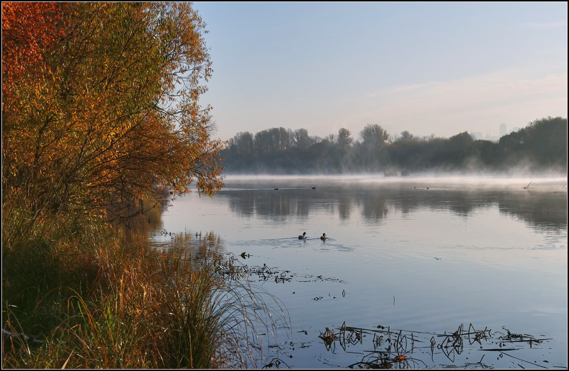 photo "Morning Walk" tags: landscape, autumn, water