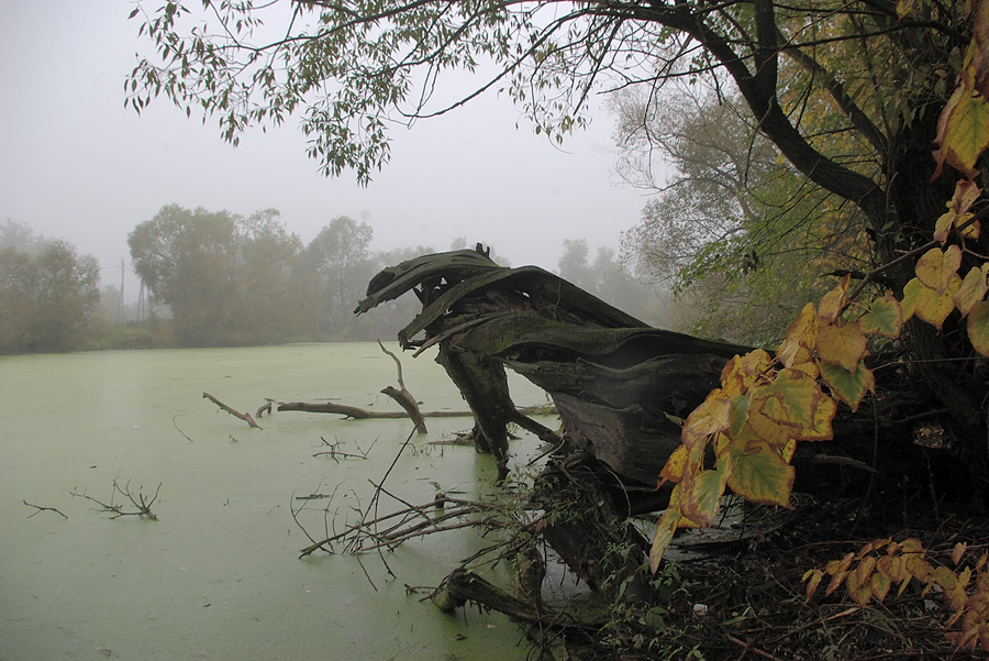 photo "***" tags: landscape, autumn