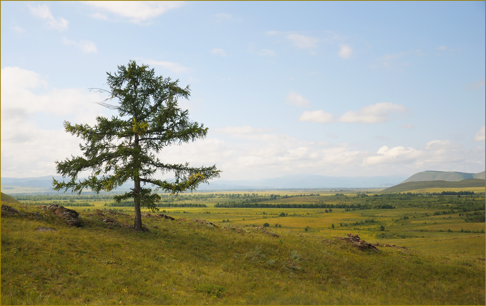 фото "***" метки: пейзаж, лето