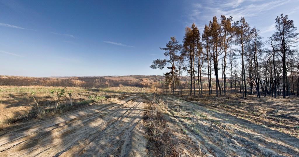 фото "Утро" метки: пейзаж, панорама, осень