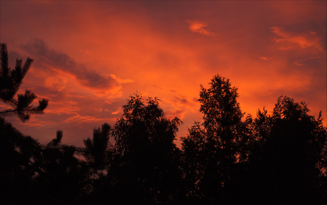 photo "Crimson sunset" tags: , 