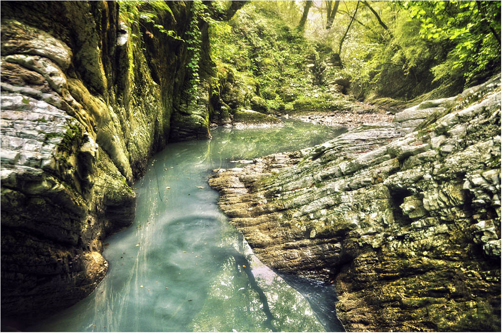 photo "***" tags: landscape, forest