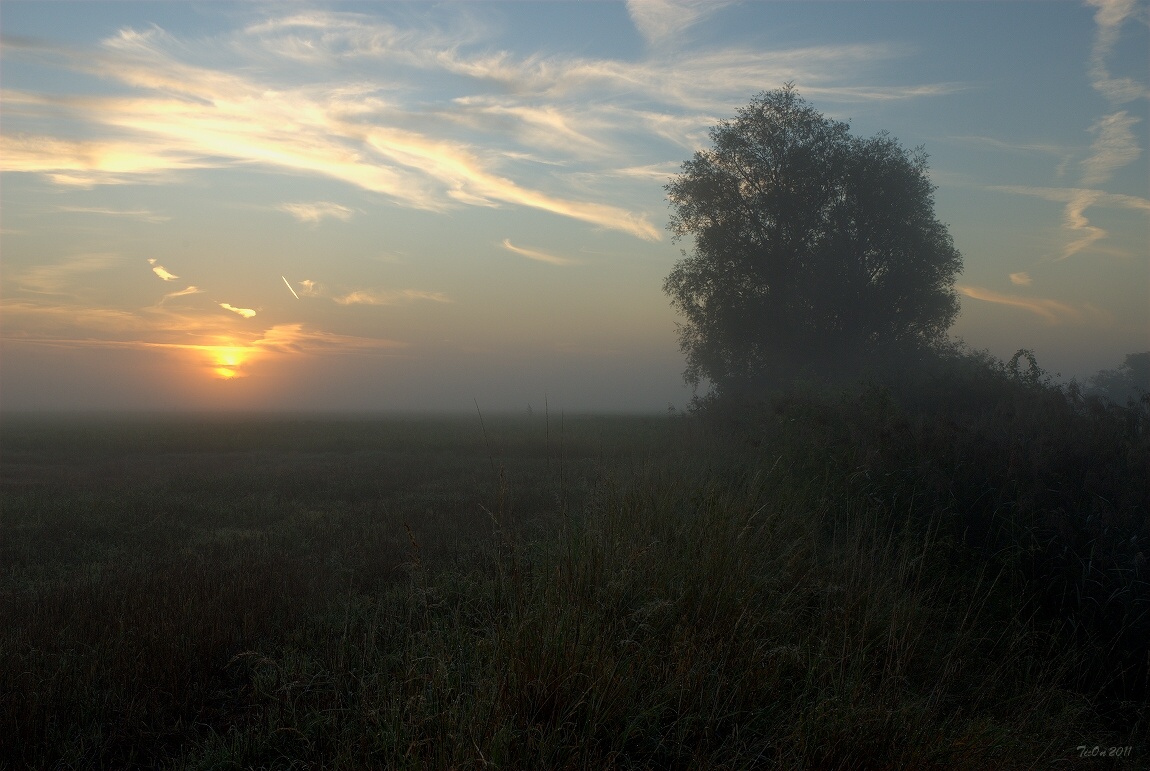 фото "The morning mist" метки: пейзаж, закат