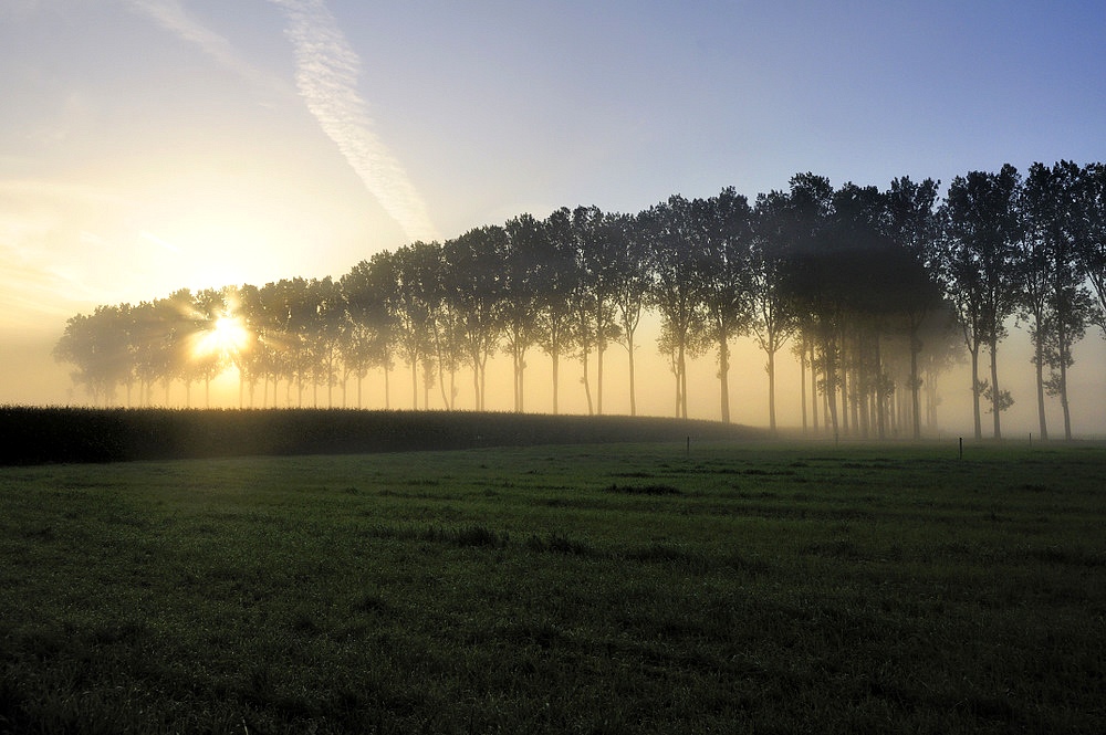 photo "***" tags: landscape, 